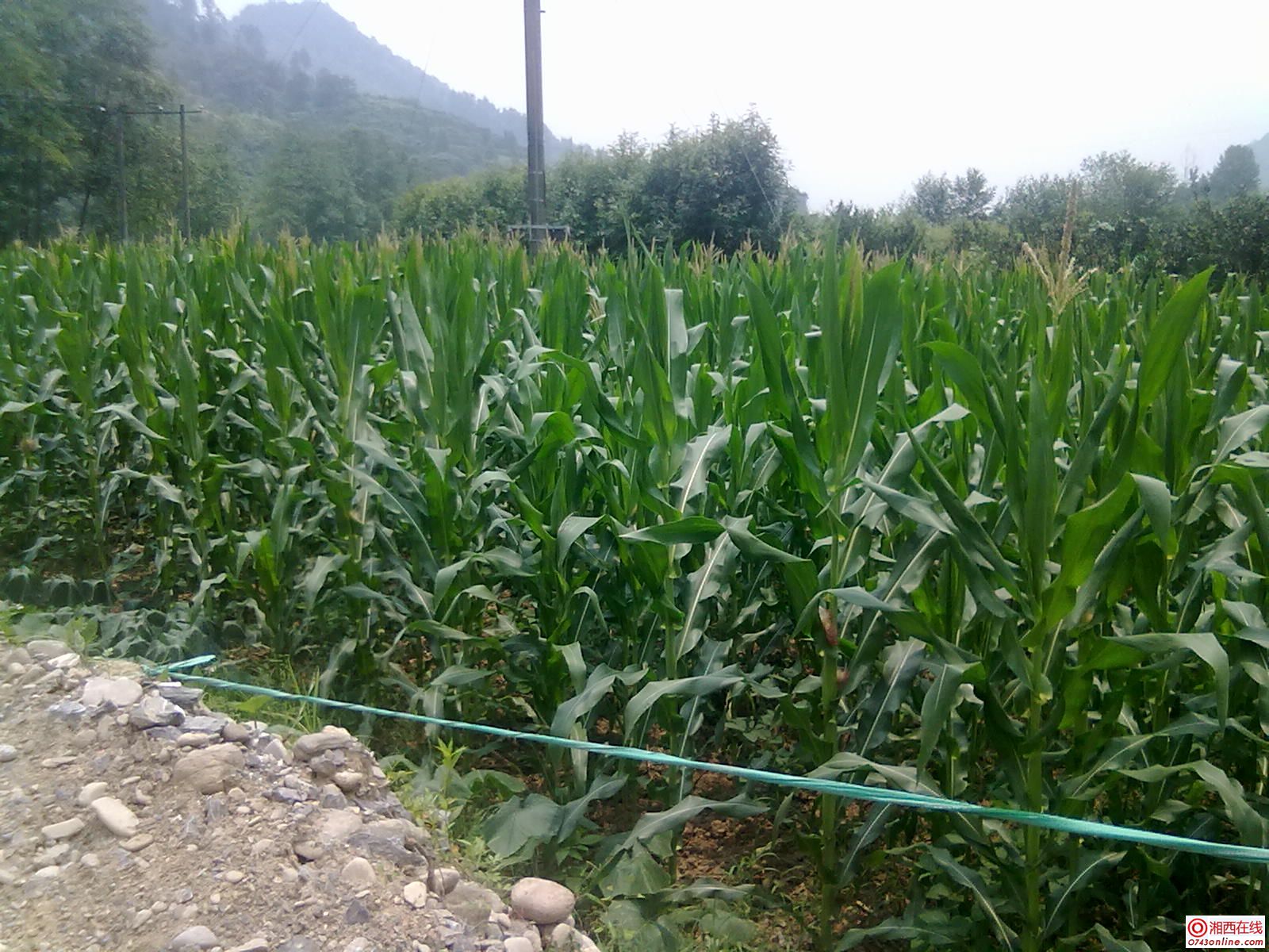20120619238.jpg