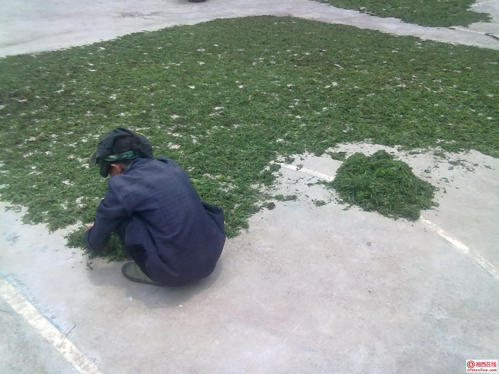 20120619246.jpg
