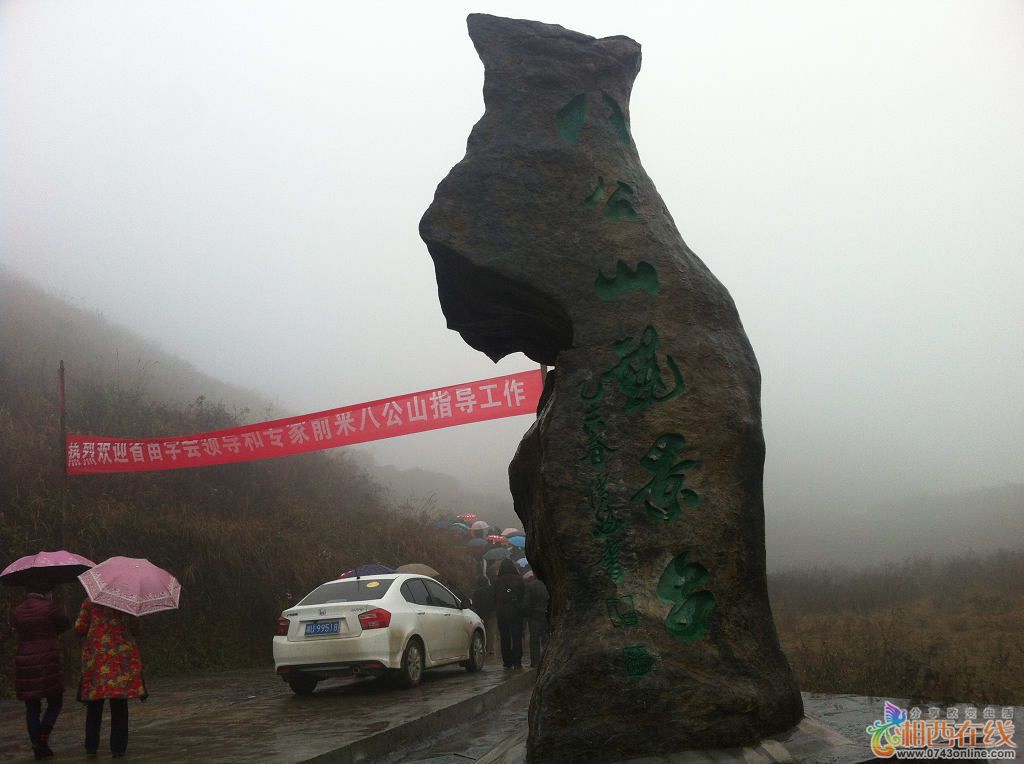 ߡ2015ʡѧѧ (11).jpg